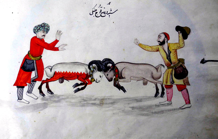 Two Fighting Rams, Album of Persian Costumes and Animals, Engelbert Kampfer, 1684 AD British Museum , Public domain, via Wikimedia Commons