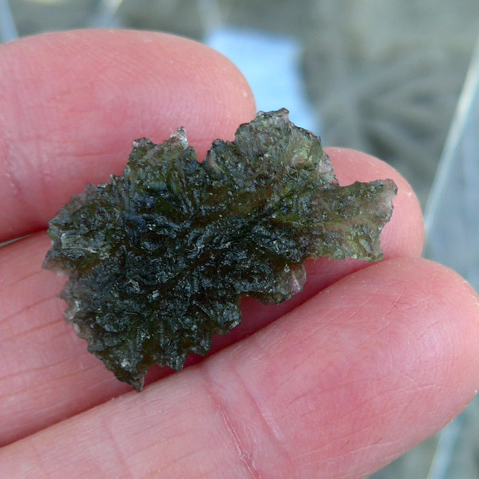 Translucent AAA Besednice Moldavite Leaf Specimen