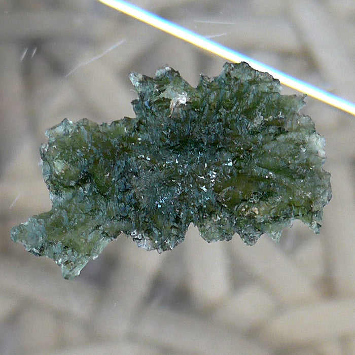 Translucent AAA Besednice Moldavite Leaf Specimen
