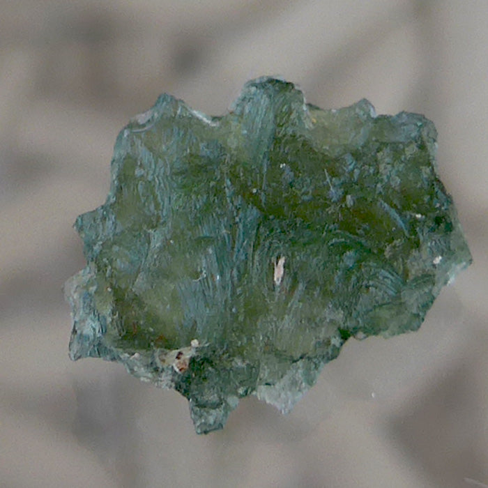 Translucent Besednice Moldavite Florette