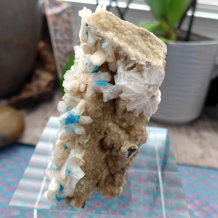 Cavansite on Apophyllite and Stilbite Matrix