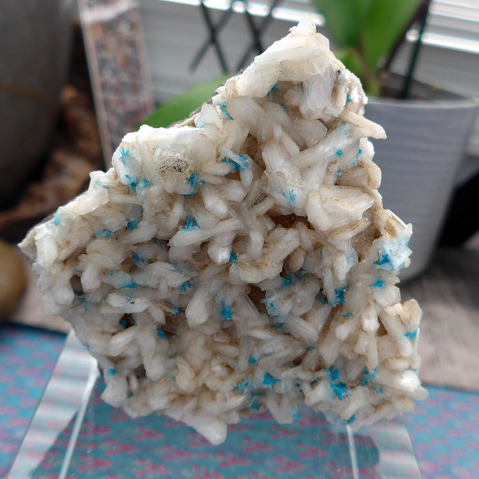 Cavansite on Apophyllite and Stilbite Matrix