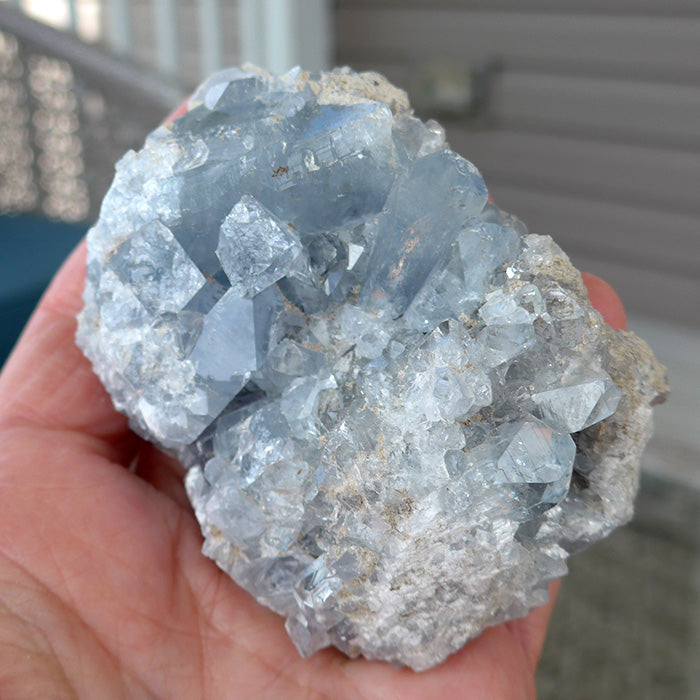 Druzy Celestite Multipoint Specimen