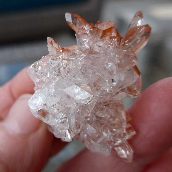 Sparkling AAA Gemmy Apophyllite Cluster