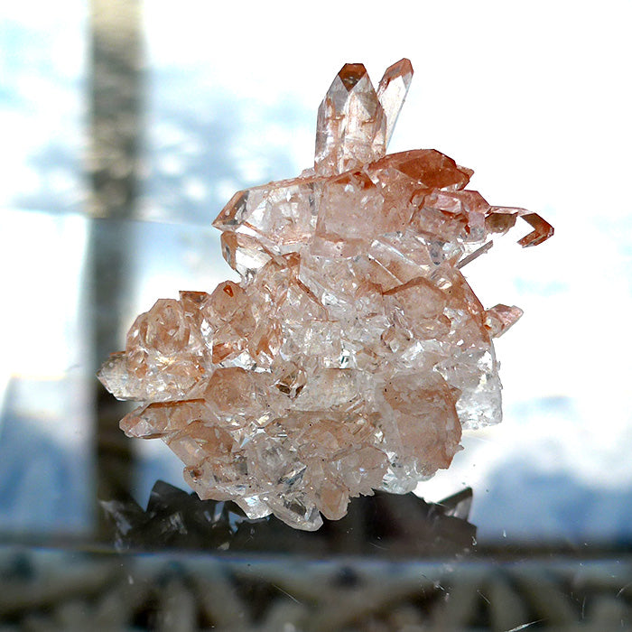 Sparkling AAA Gemmy Apophyllite Cluster