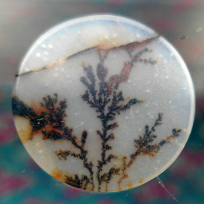 Fairy Circle Dendritic Quartz Meditation Stone