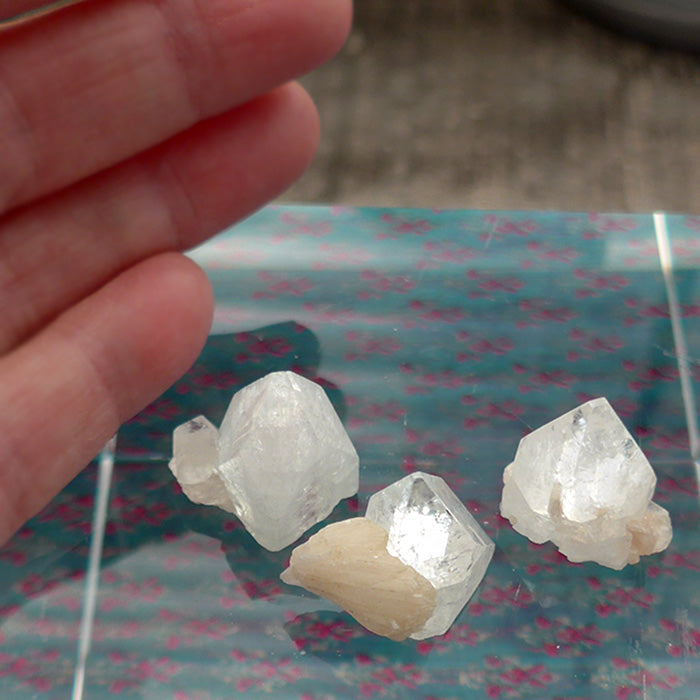 Three Gemmy Apophyllite Pyramids with Stilbite