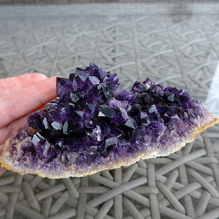 Flowering Grape Jam Uruguayan Amethyst Geode Slice