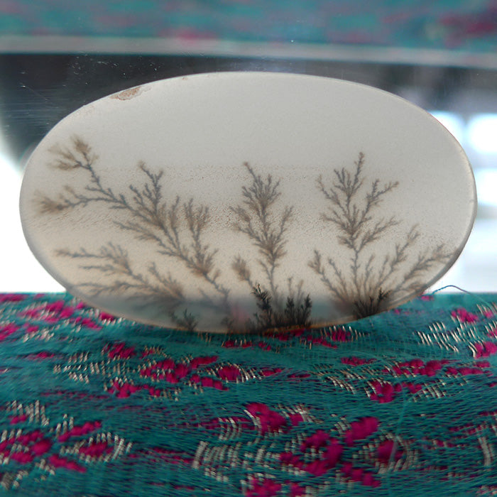 Dendritic Picture Quartz Wide Oval Meditation Stone