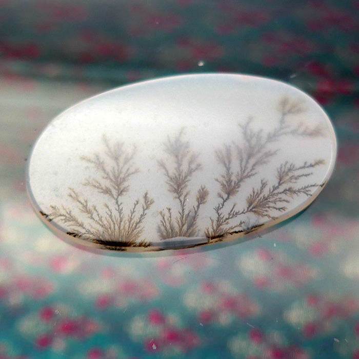 Dendritic Picture Quartz Wide Oval Meditation Stone