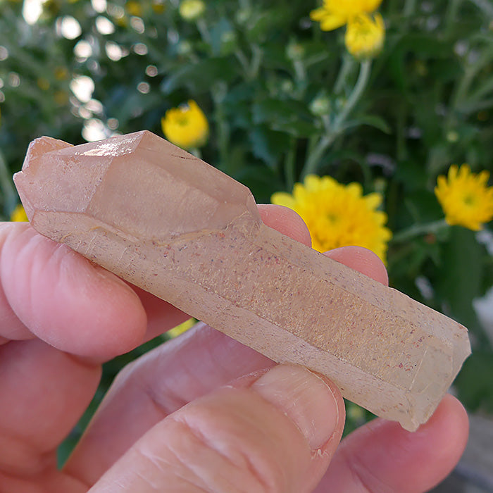 Amblygonite Madagascar Scepter with Bridge Crystal