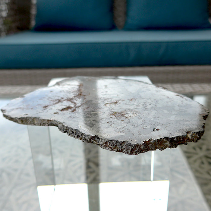 Giant Gibeon Meteorite Slice with Widmanstatten Patterns