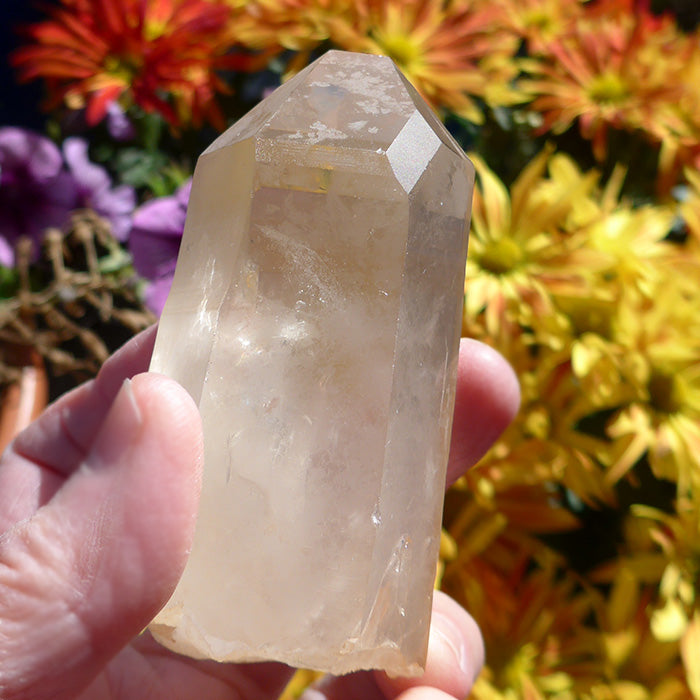 Golden Lemurian Self Healed Twin Window Wand