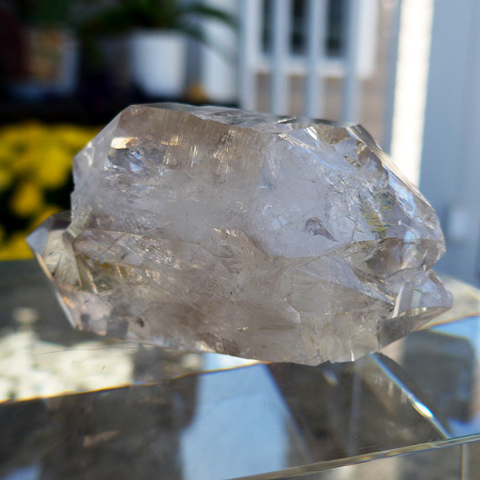 AAA Twin Tibetan Quartz DT with Bridge Crystals
