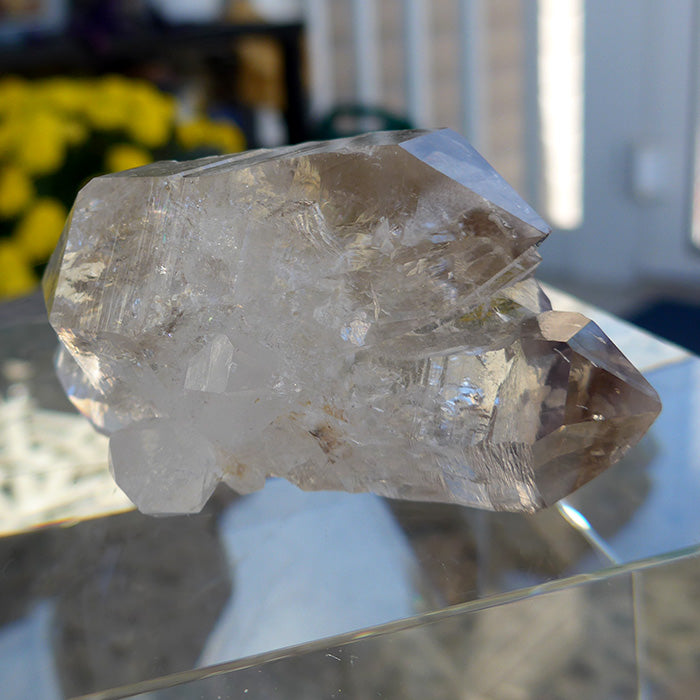 AAA Twin Tibetan Quartz DT with Bridge Crystals