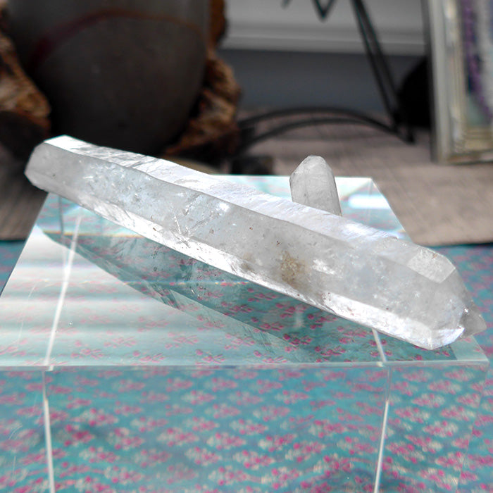 Fat Tibetan Quartz DT Wand with Huge Bridge Crystal