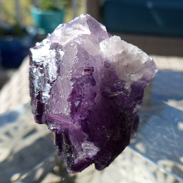 Large Translucent Deep Purple Fluorite Specimen