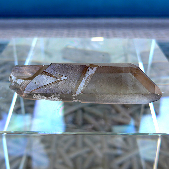 Shadow Lemurian Window Wand with Growth Interference Markings