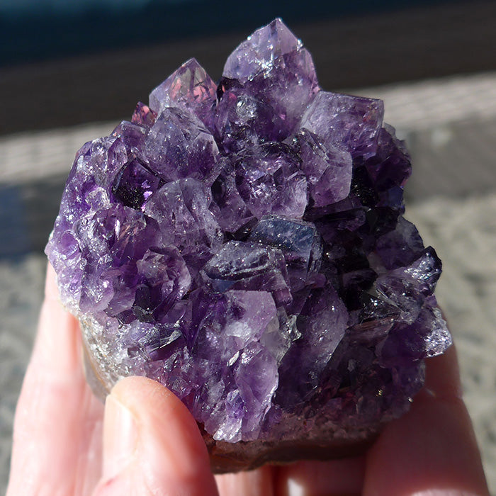 Uruguayan Amethyst Grape Jam Cluster