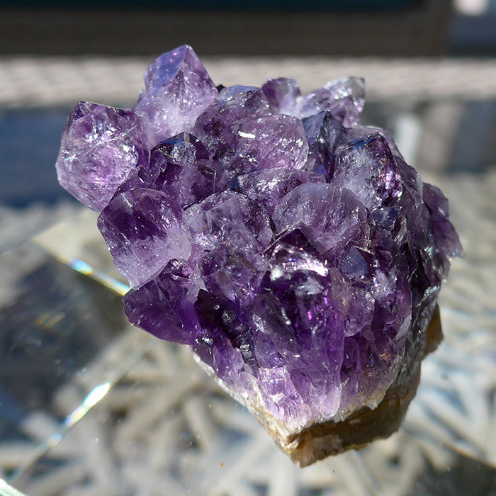 Uruguayan Amethyst Grape Jam Cluster