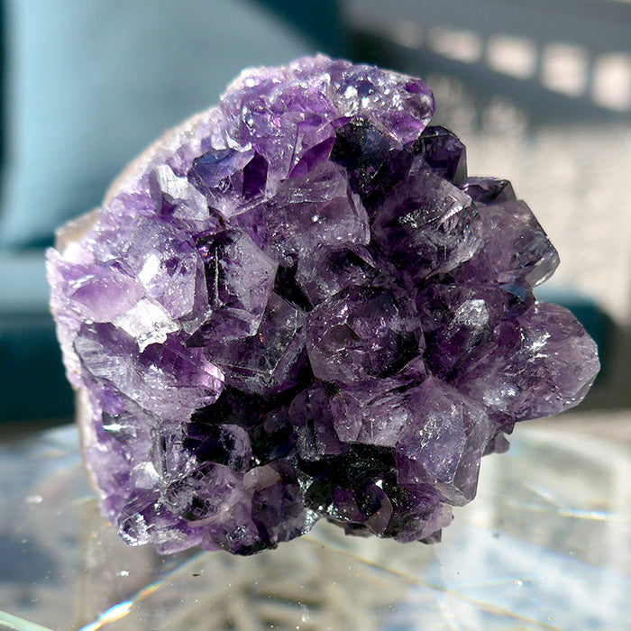 Uruguayan Amethyst Grape Jam Cluster