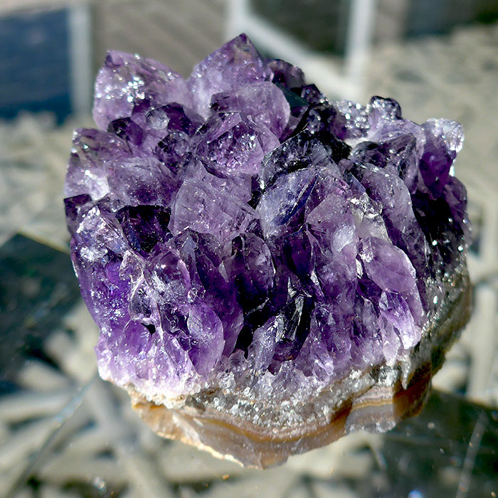 Uruguayan Amethyst Grape Jam Cluster
