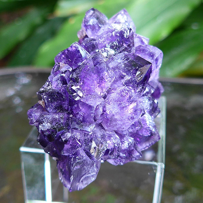 Uruguayan Grape Jam Amethyst Cluster