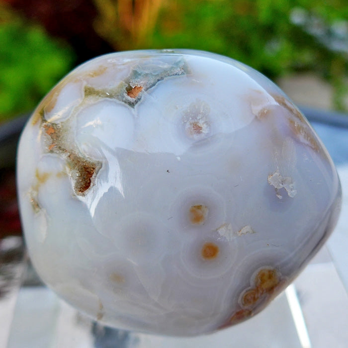 Cream and Rust Ocean Jasper Egg