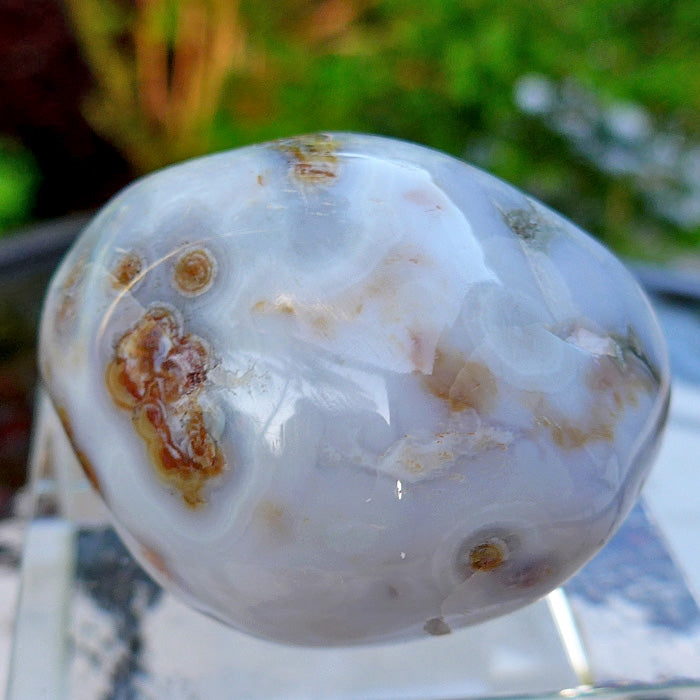 Cream and Rust Ocean Jasper Egg