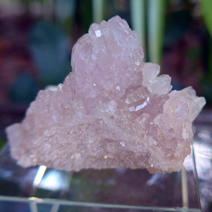 Crystallized Druzy Rose Quartz Elestial Cluster