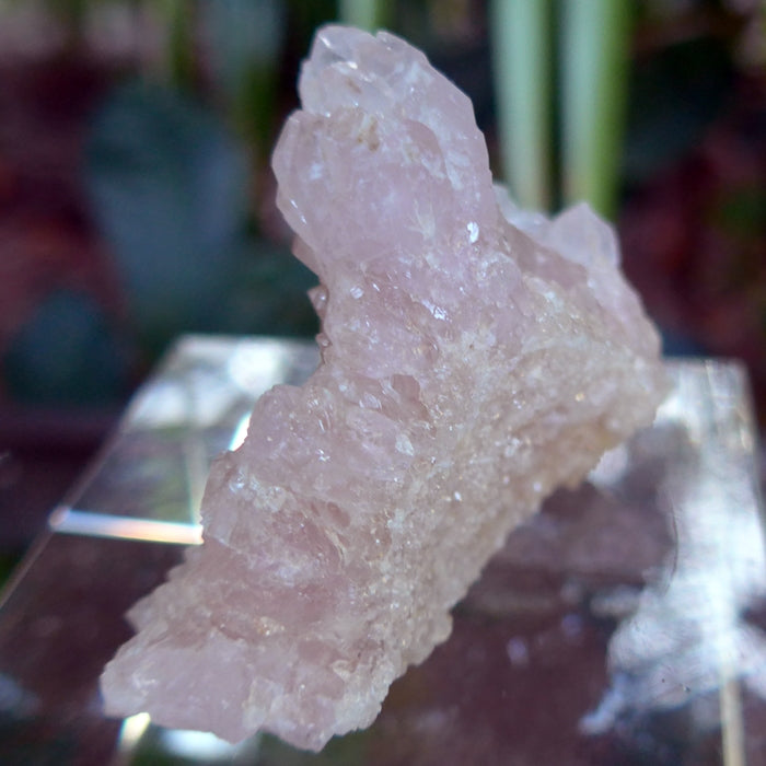 Crystallized Druzy Rose Quartz Elestial Cluster