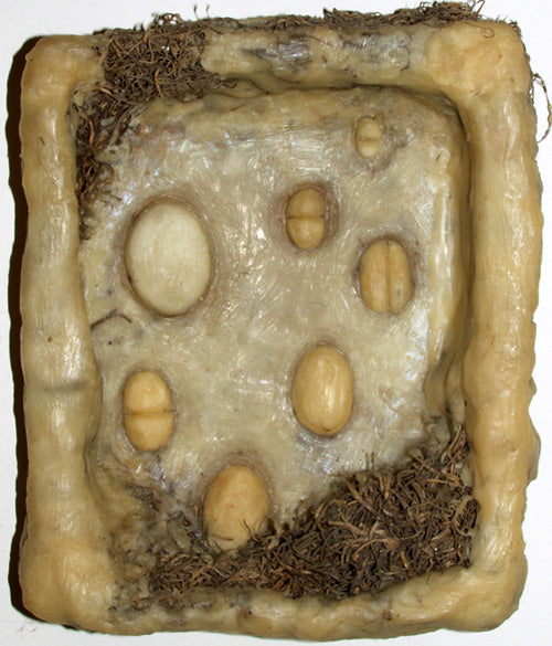 Spanish Moss Egg Box