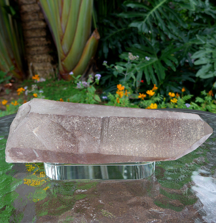 Large Smoky Lemurian Wand