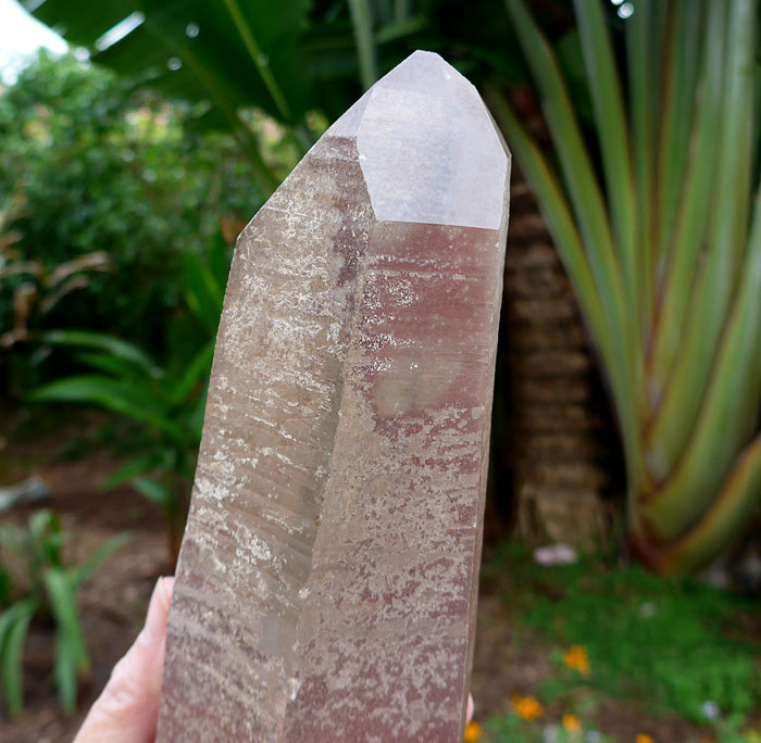 Large Smoky Lemurian Wand