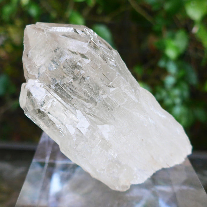 Multipoint Elestial Champagne Citrine Cathedral