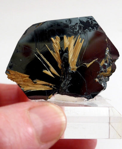 Hematite Fan with Rutile Starburst