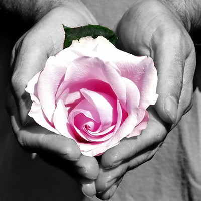 30 Minute Distance Reiki Session