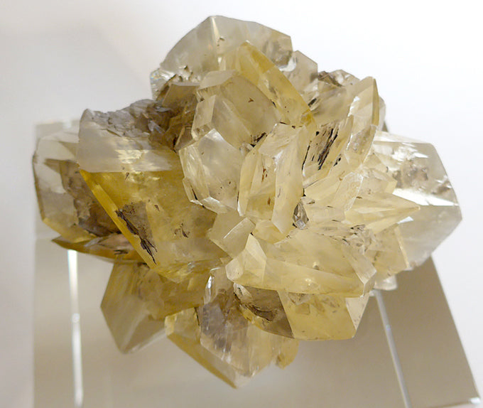 Starburst Winnipeg Selenite Specimen