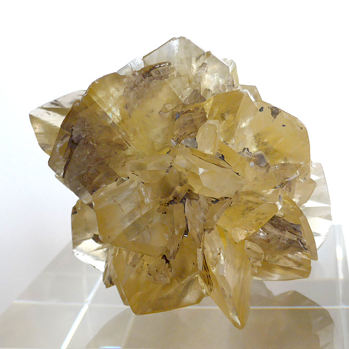 Starburst Winnipeg Selenite Specimen