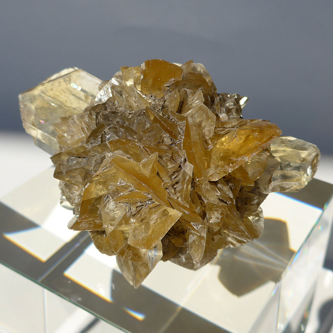 Winged Golden Winnipeg Selenite Sphere