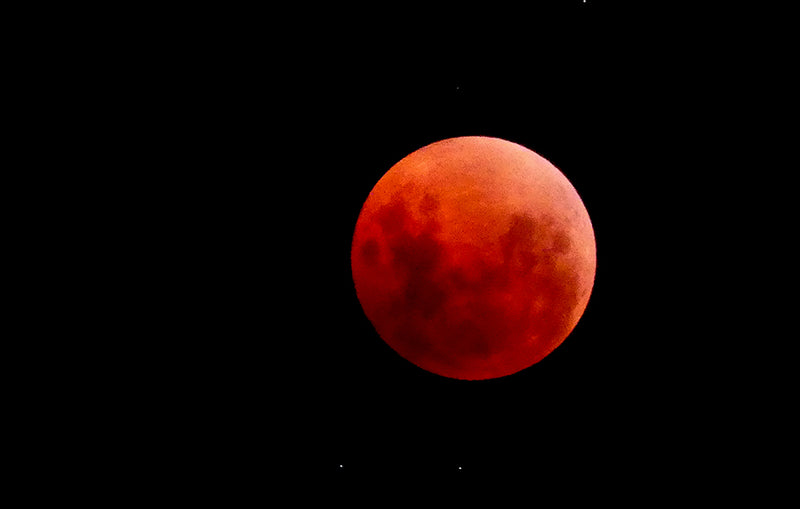Taurus Full Blood Moon Eclipse, Scorpio Solar Festival, November 2022 Cosmic Weather Forecast