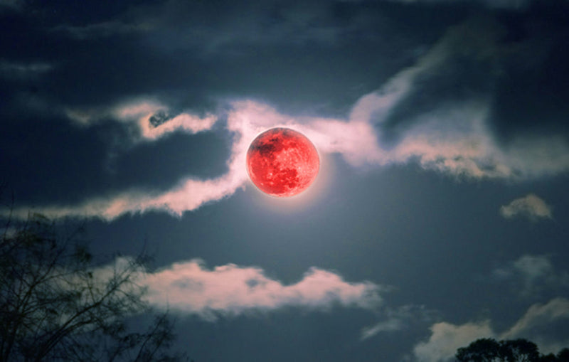 Total Pisces Full Blood Moon Eclipse, Virgo Solar Festival, September 2025 Cosmic Weather Forecast