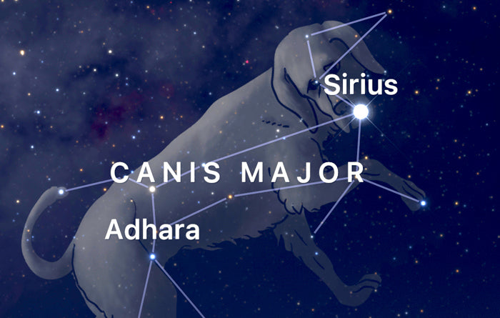 Sirius in Canis Major, my SkyGuide app screenshot