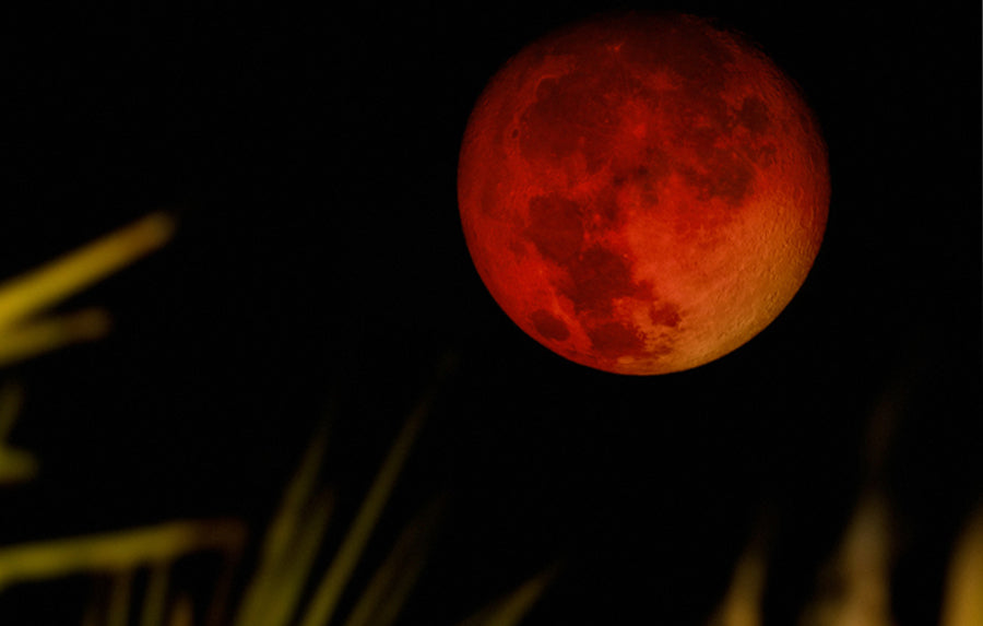 Blood Moon, via Allec Gomes for UnSplash