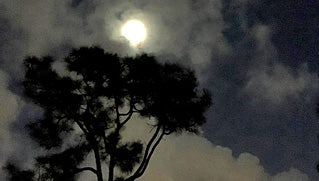 February 2017 Full Moon Eclipse in Leo, Aquarius Solar Festival