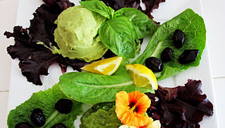 Salad Plate with Fava Bean and Snap Pea Purees