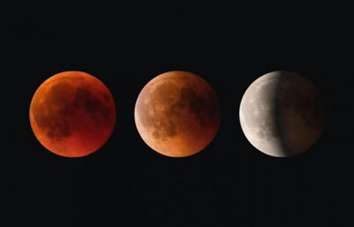 Taurus Full Moon Partial Eclipse, Scorpio Solar Festival Thanksgiving 2021 Cosmic Weather Forecast