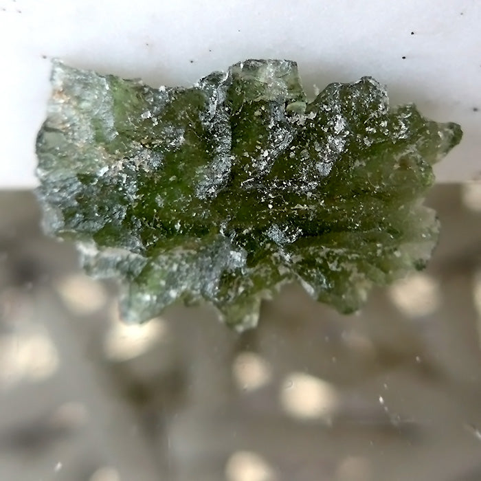 Biomorphic Besednice Moldavite Specimen