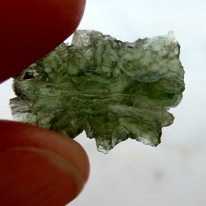 Biomorphic Besednice Moldavite Specimen