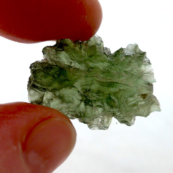 Biomorphic Besednice Moldavite Specimen